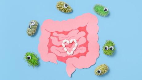 il ruolo dei probiotici nella salute del cuore